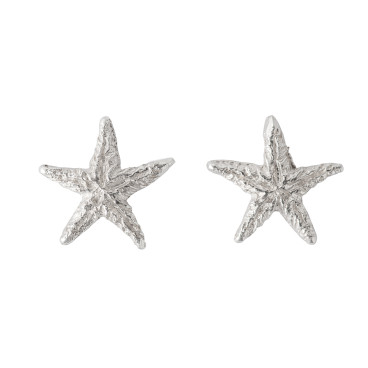 Stelle Marine Piccole Lavorate Tappabuco