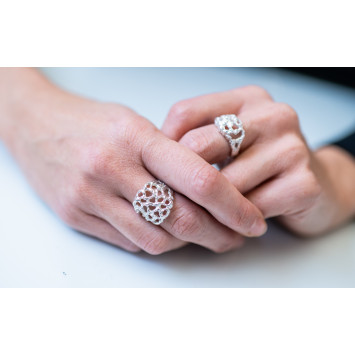 Anello Fascia Rete Alta